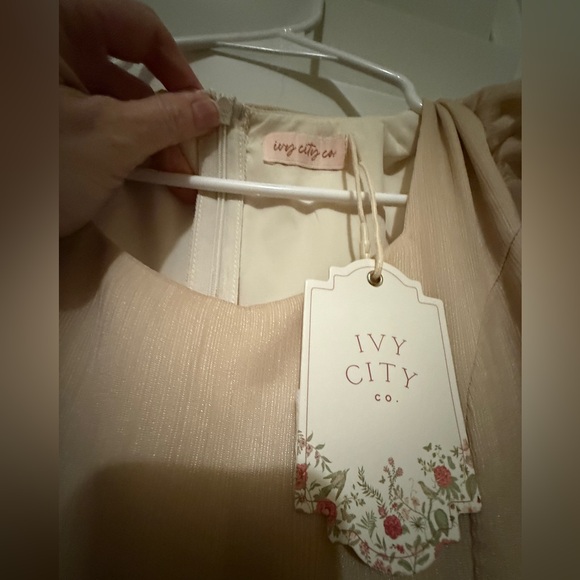 Ivy City Co. Abbie Dress Size 0 NWT - Picture 6 of 8